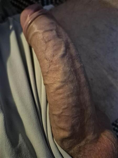 Cock