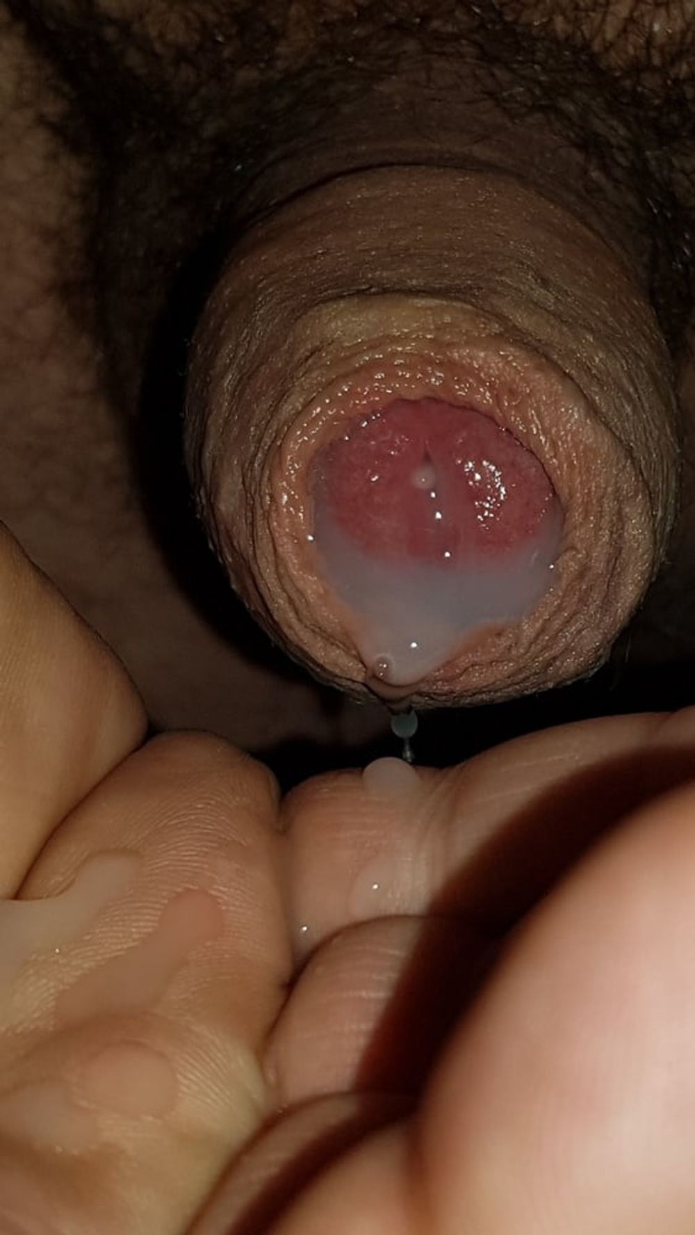 Precum and cum #42