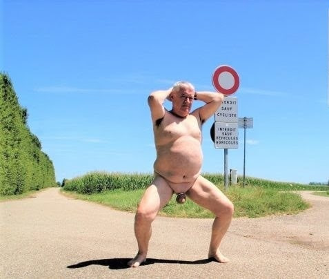 Vieille grosse  truie 