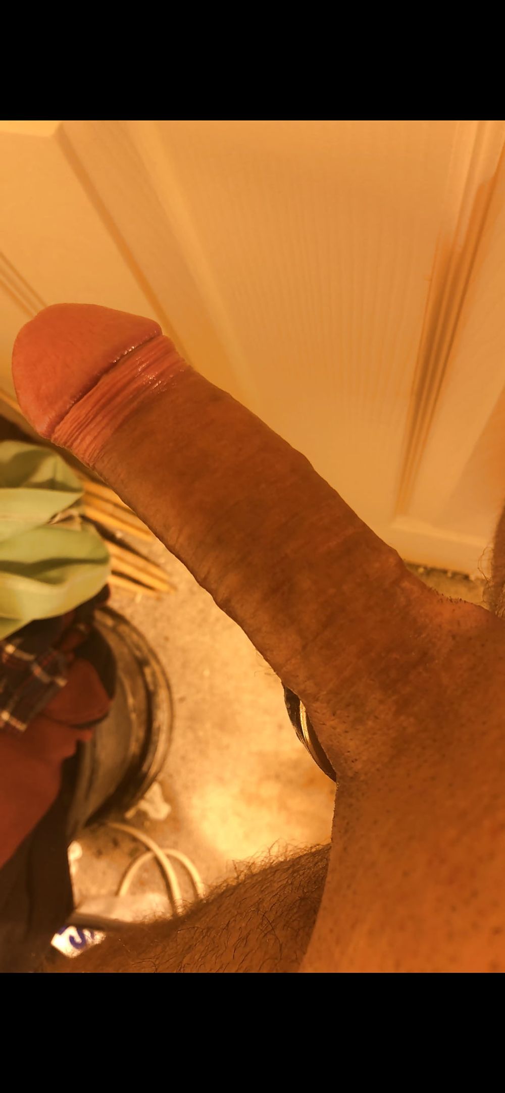 My cock #36