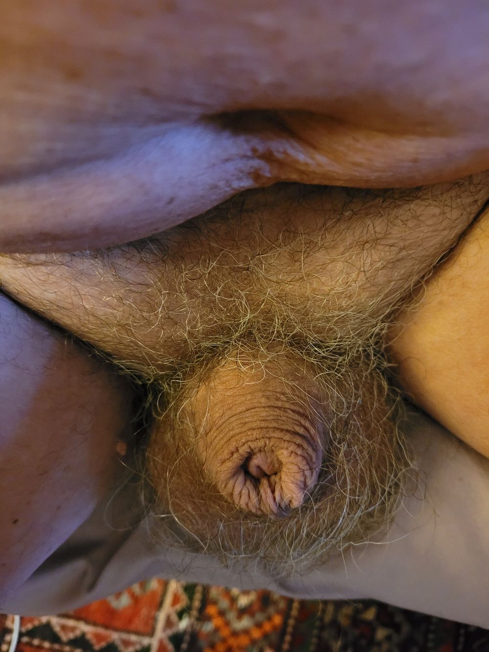 Soft, medium, hard cock #38