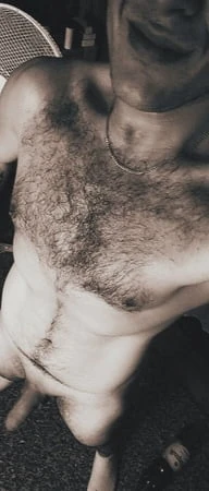 Koltukdagi semiz eshaklar