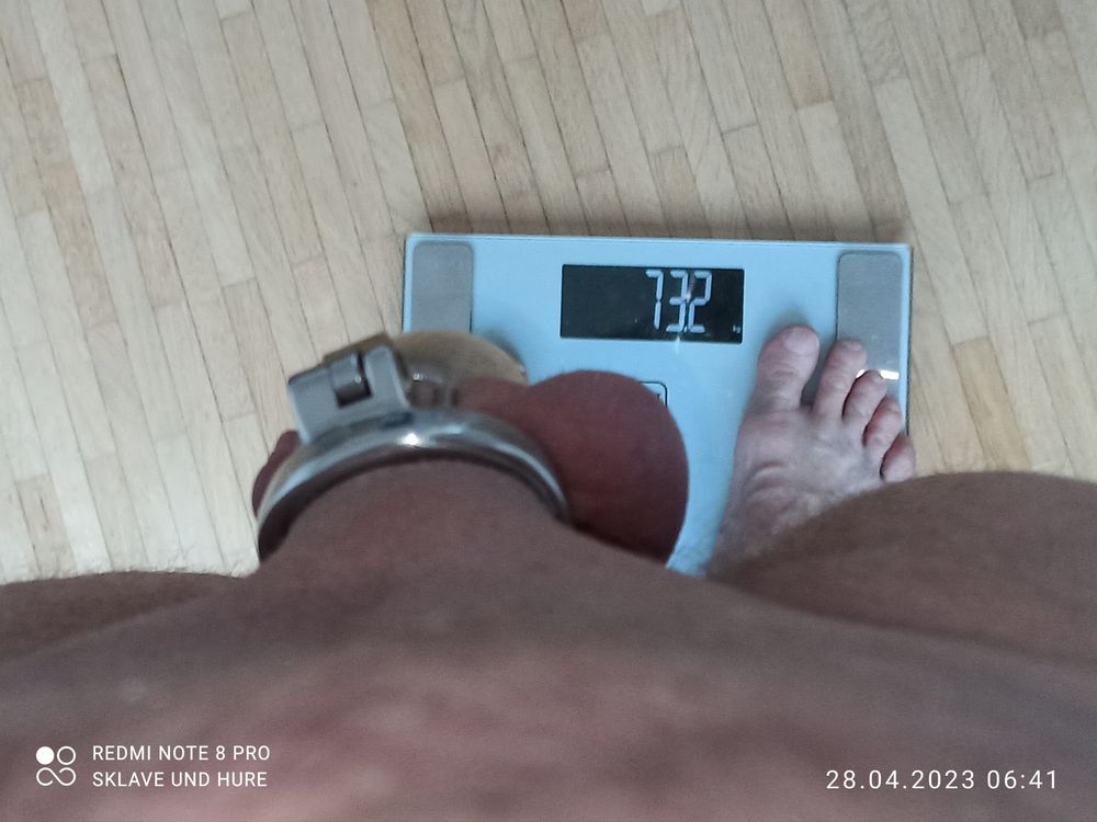 weighing cagecheck 28.04.2023 #22