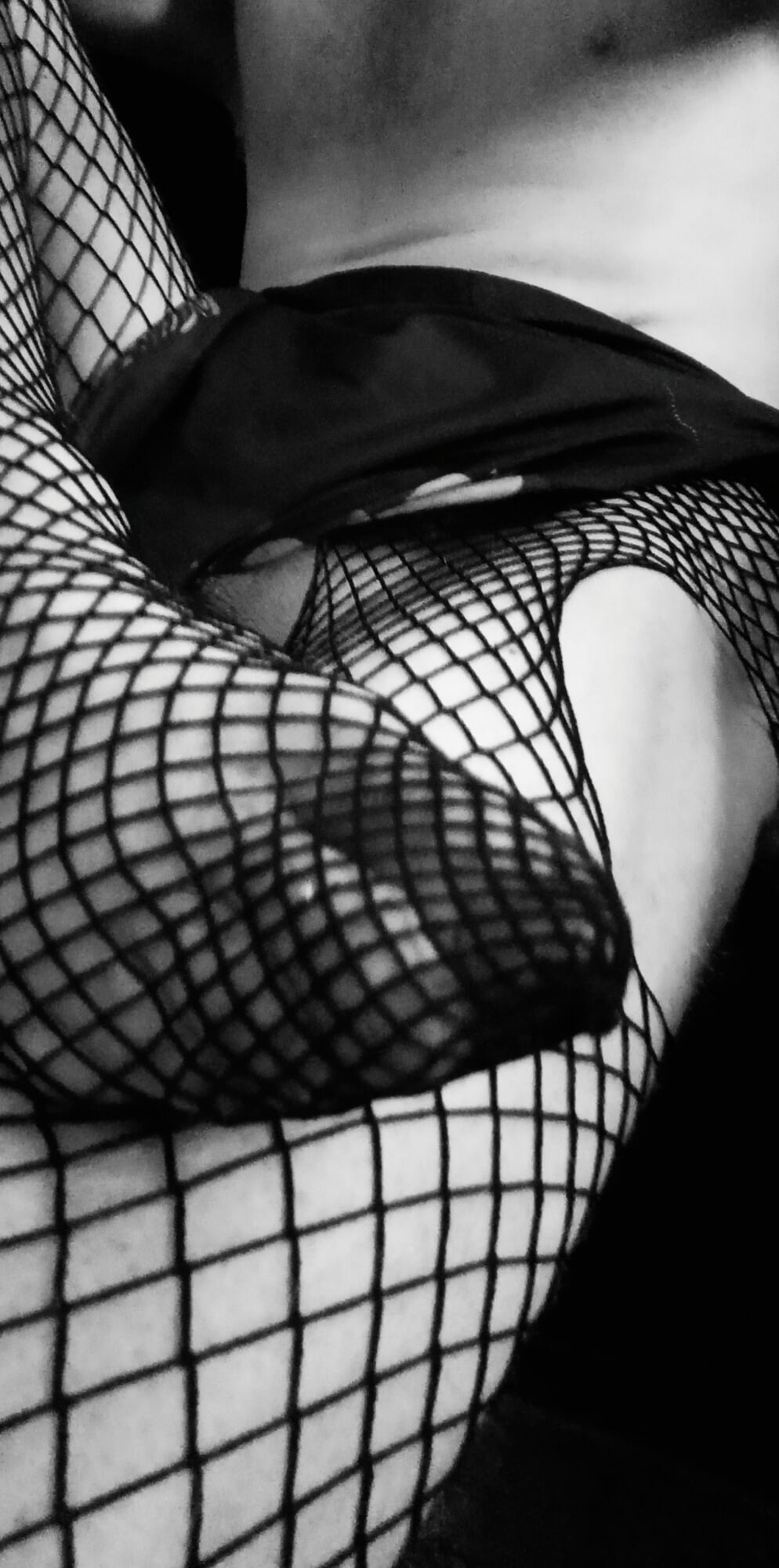 Fishnet