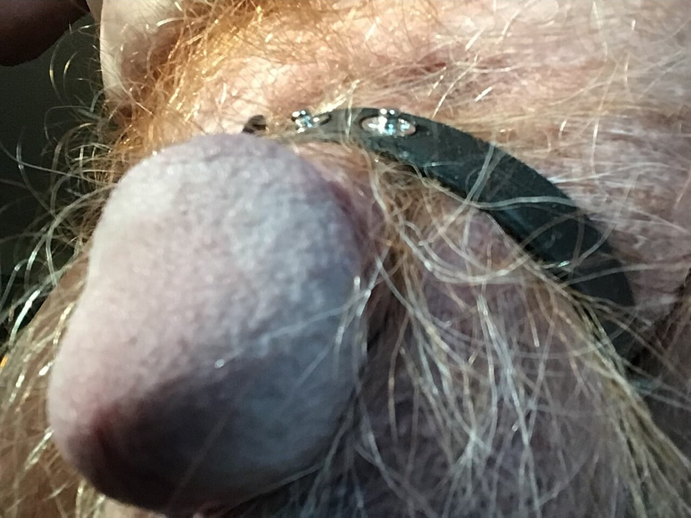 Cock exposed #2