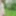 Naked Forest