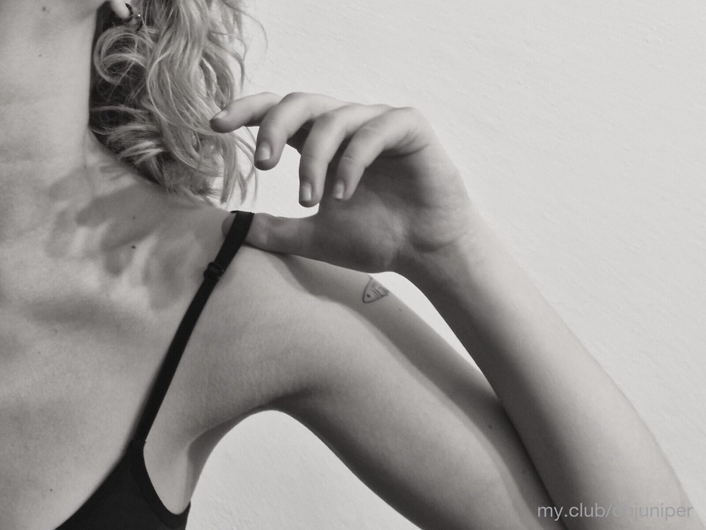 Juniper Free Photos #10