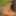  Thai beauty Kathai expresses her wild nature in the shade of a palm tree #16