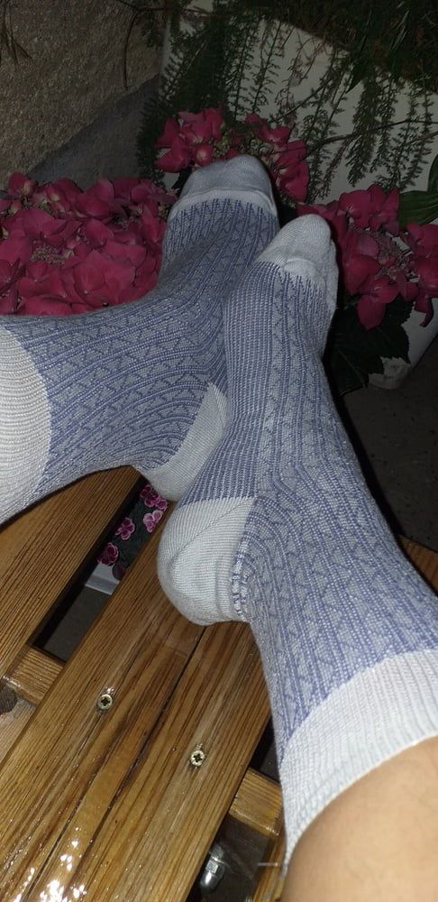 Socks I love #31