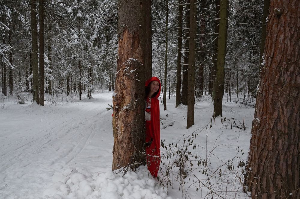 Little Red Riding Hood on a forest path #14