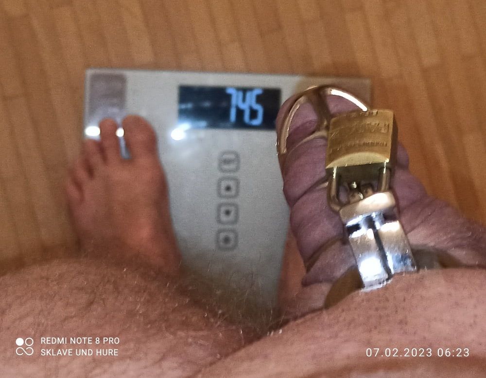 Weighing, titclamps, cockcage 07.02.2023 #9