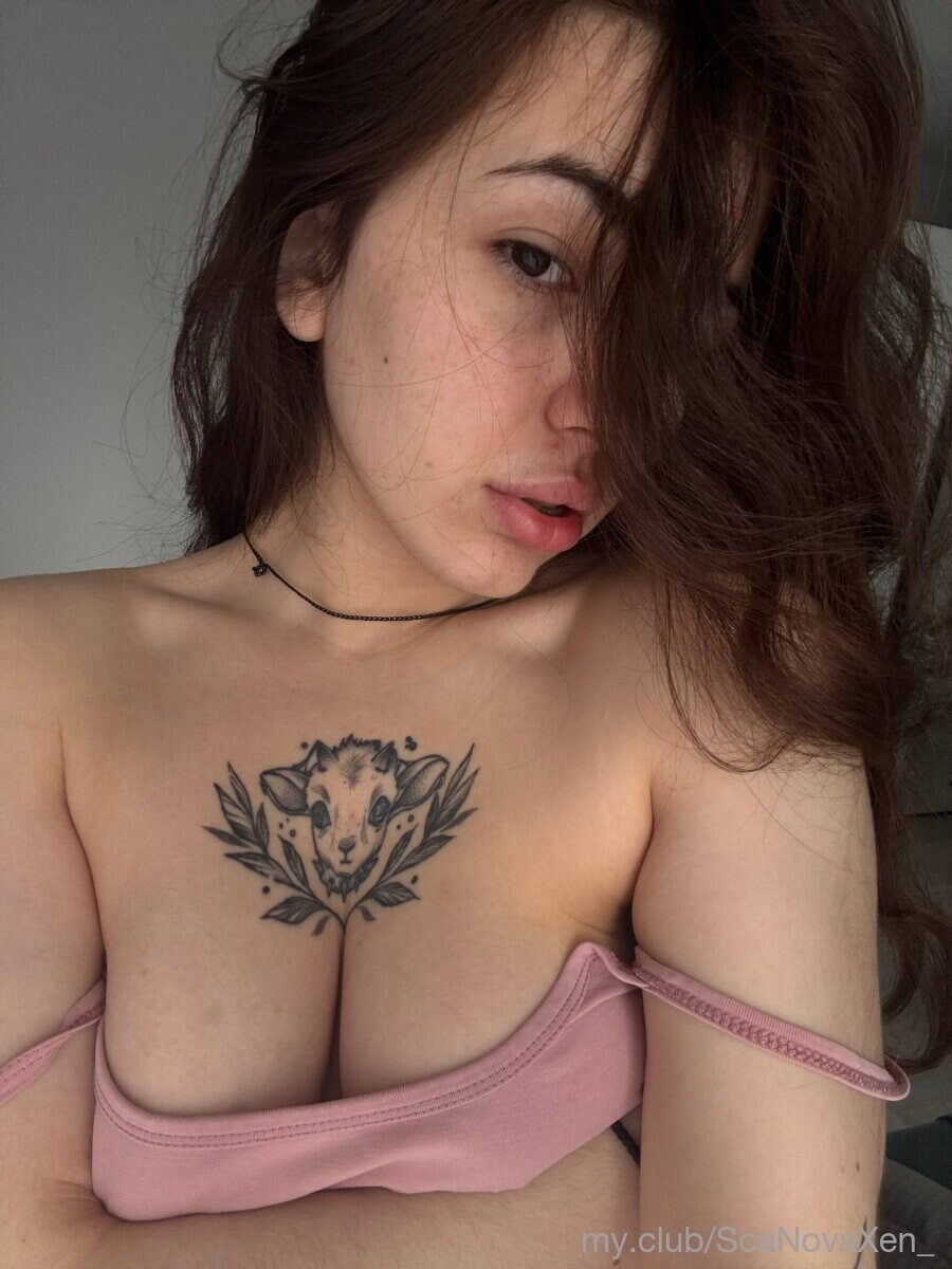 Free Nova Photos #2