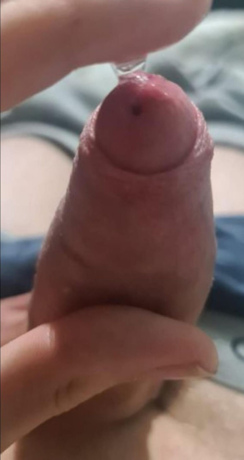 Cock  #4