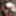 Kinky Posing Slutty Evelina 10
