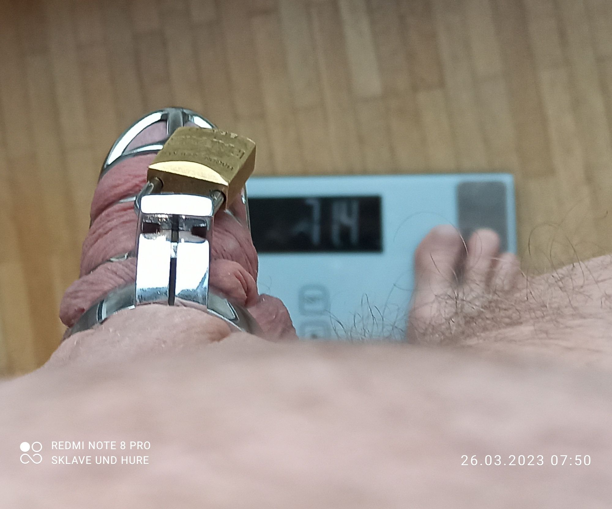 mandatory weighing and cagecheck of 26.03.2023 #6