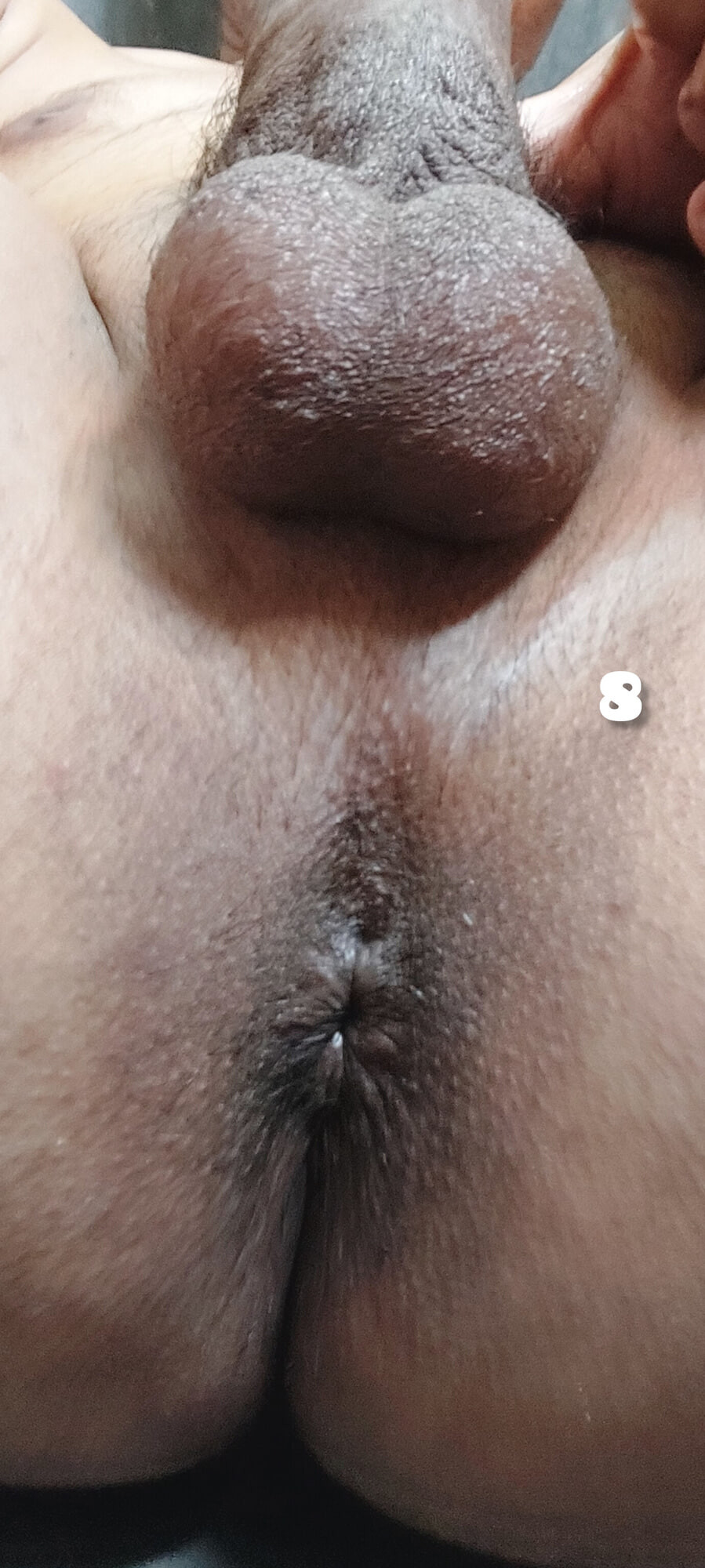 Desi land  #8