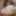 Yui Kisaragi :: Alternated BJ And Insert 2 - CARIBBEANCOM #20