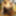NEW 2019 Pics #32