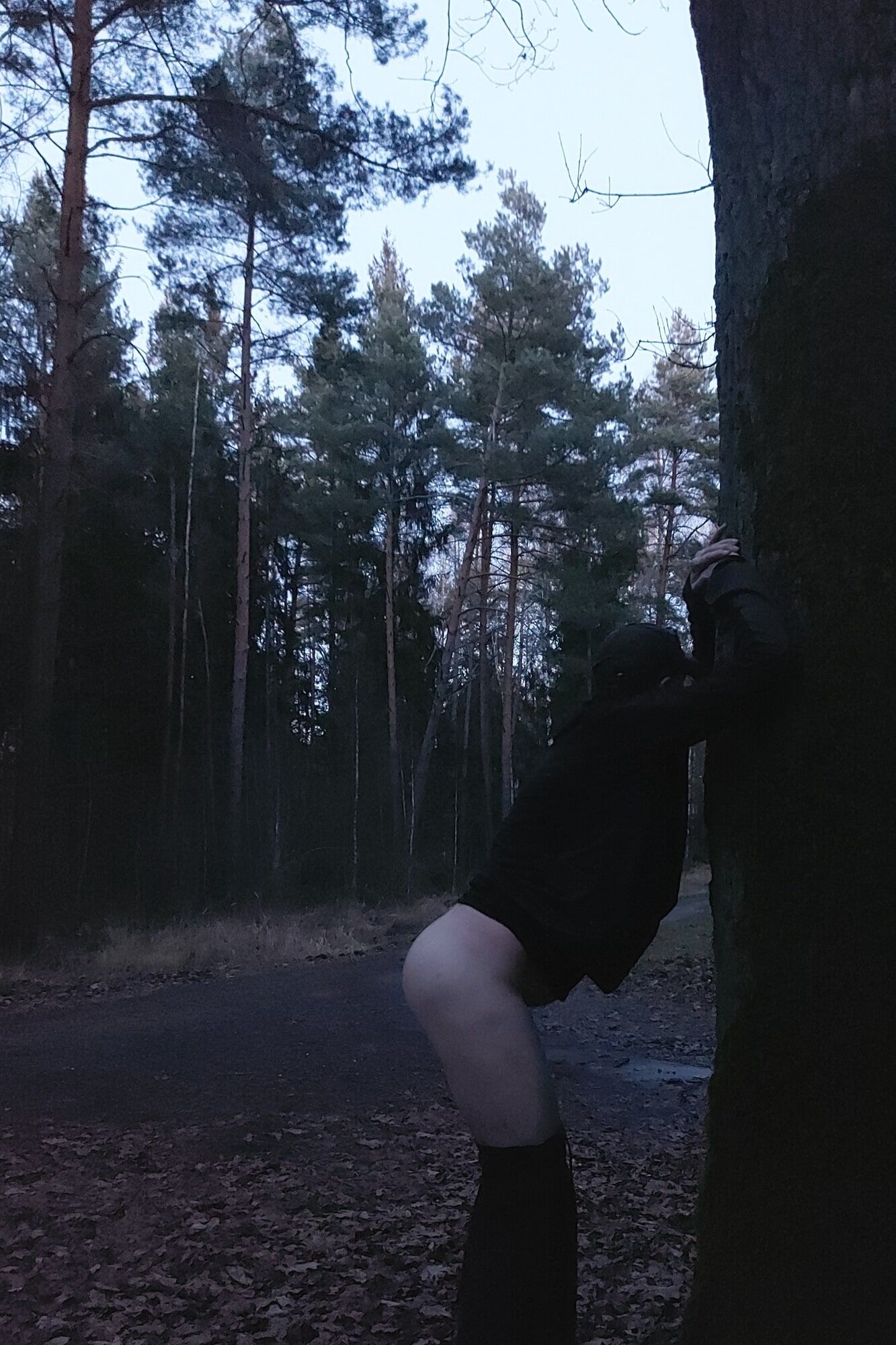 Jogging in the forest