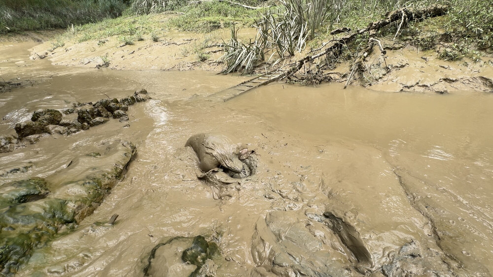 SHOT - BURIED IN MUD ! #6