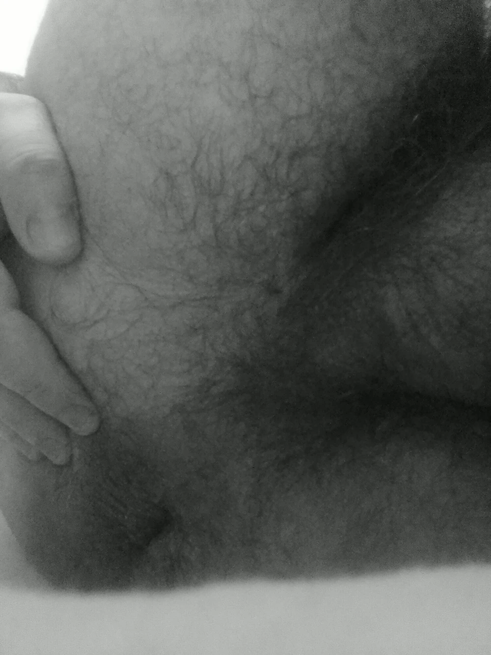 My Ass #4