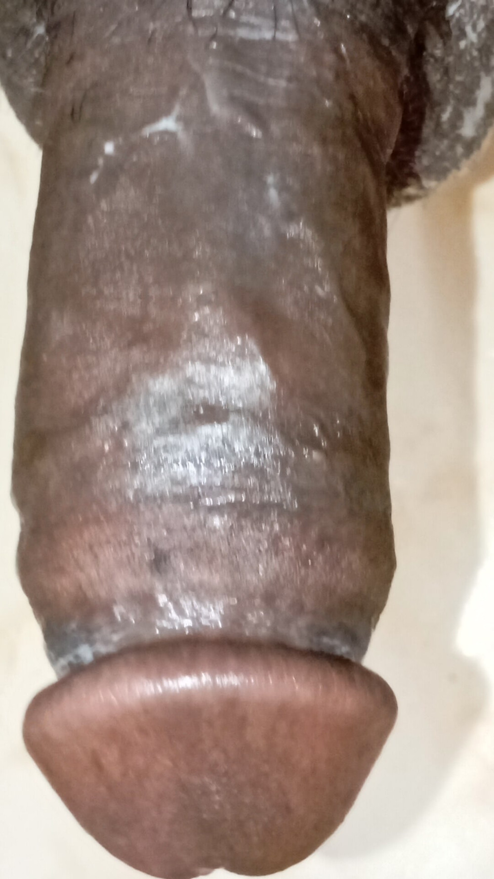 My new gallery #26
