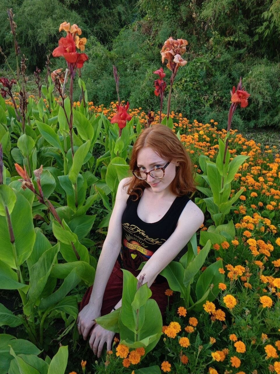 Alice Free Photos #19