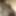 I need someone to fuck my ass #2