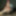 Sex of indian boy