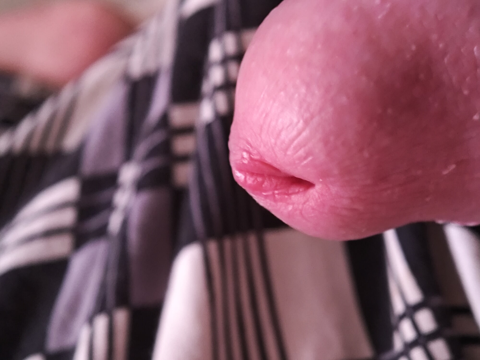 Dick head  #5
