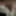 My dick