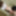 Yui Kisaragi :: Alternated BJ And Insert 2 - CARIBBEANCOM #13