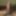 Desi Indian dick