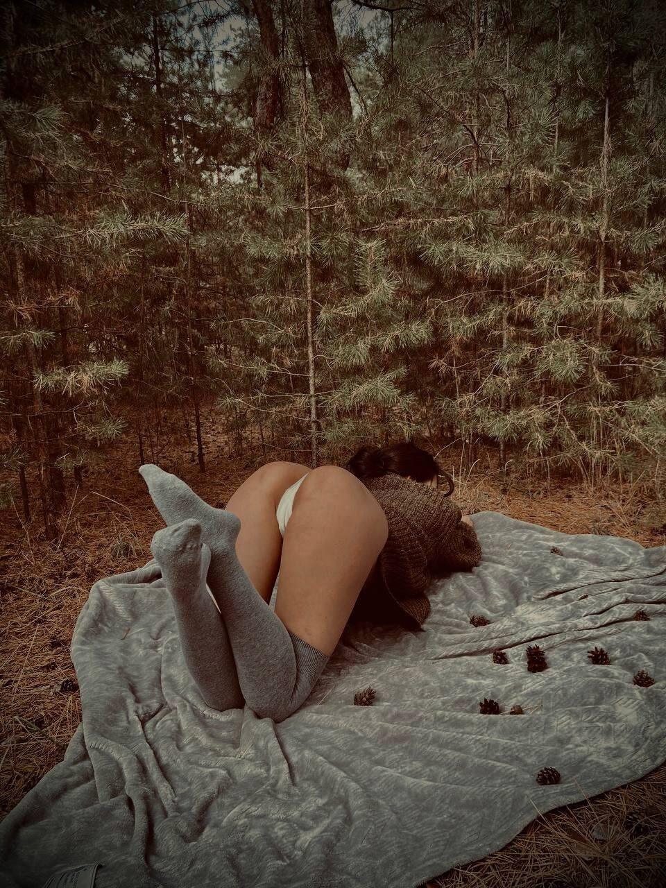Rest in the forest #13