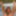 Spanish Nude
