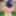 Onlyfans ai: tesettür vücudunu göstermek istiyor