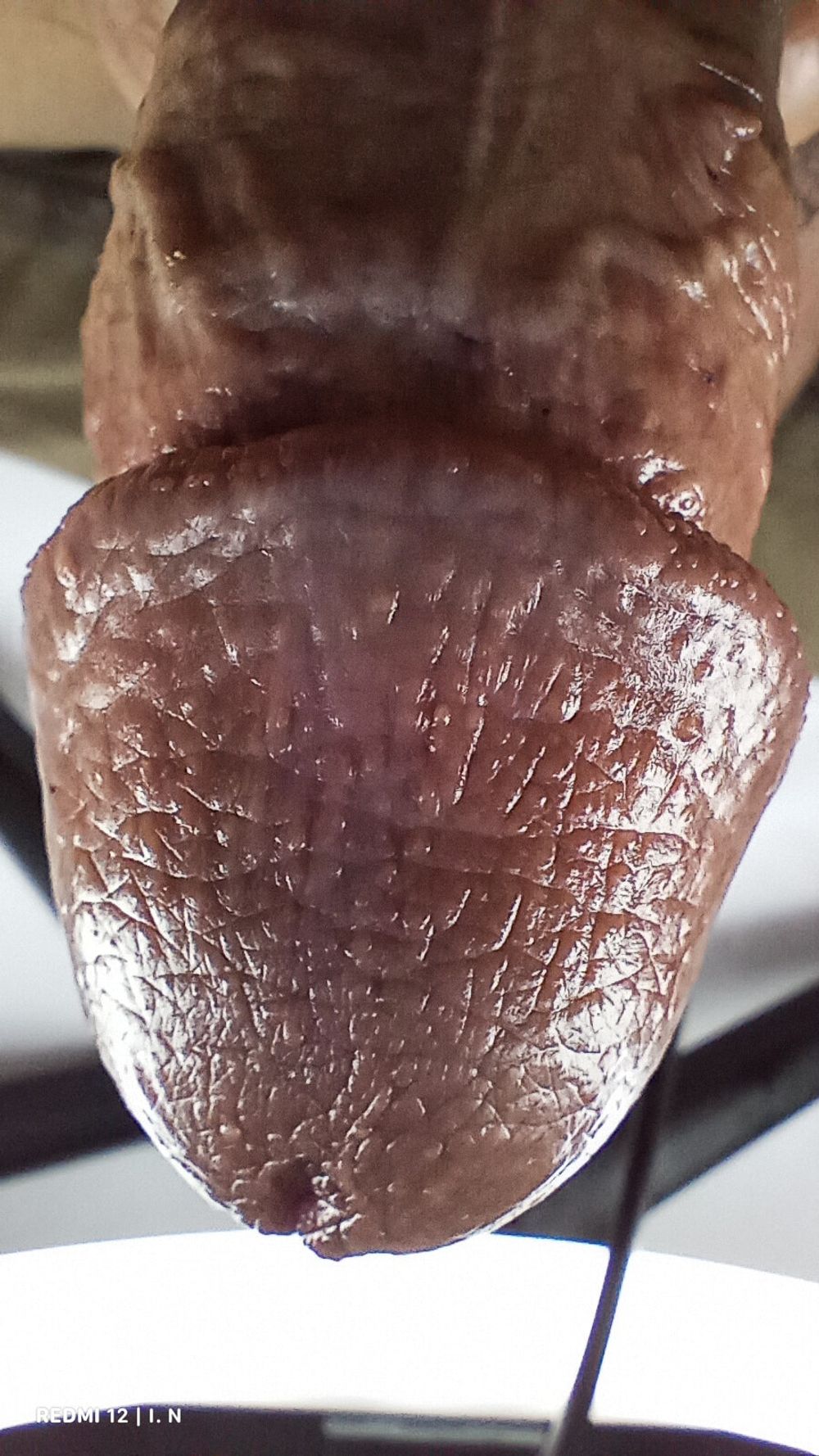 Macro Dick #7