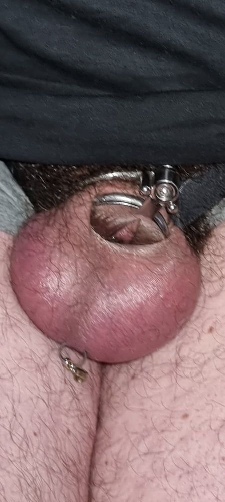 My new chastity cage after 2 days