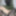 Uzra Hayed Free Photos