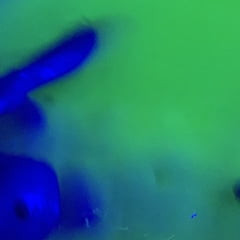 Black light Tub