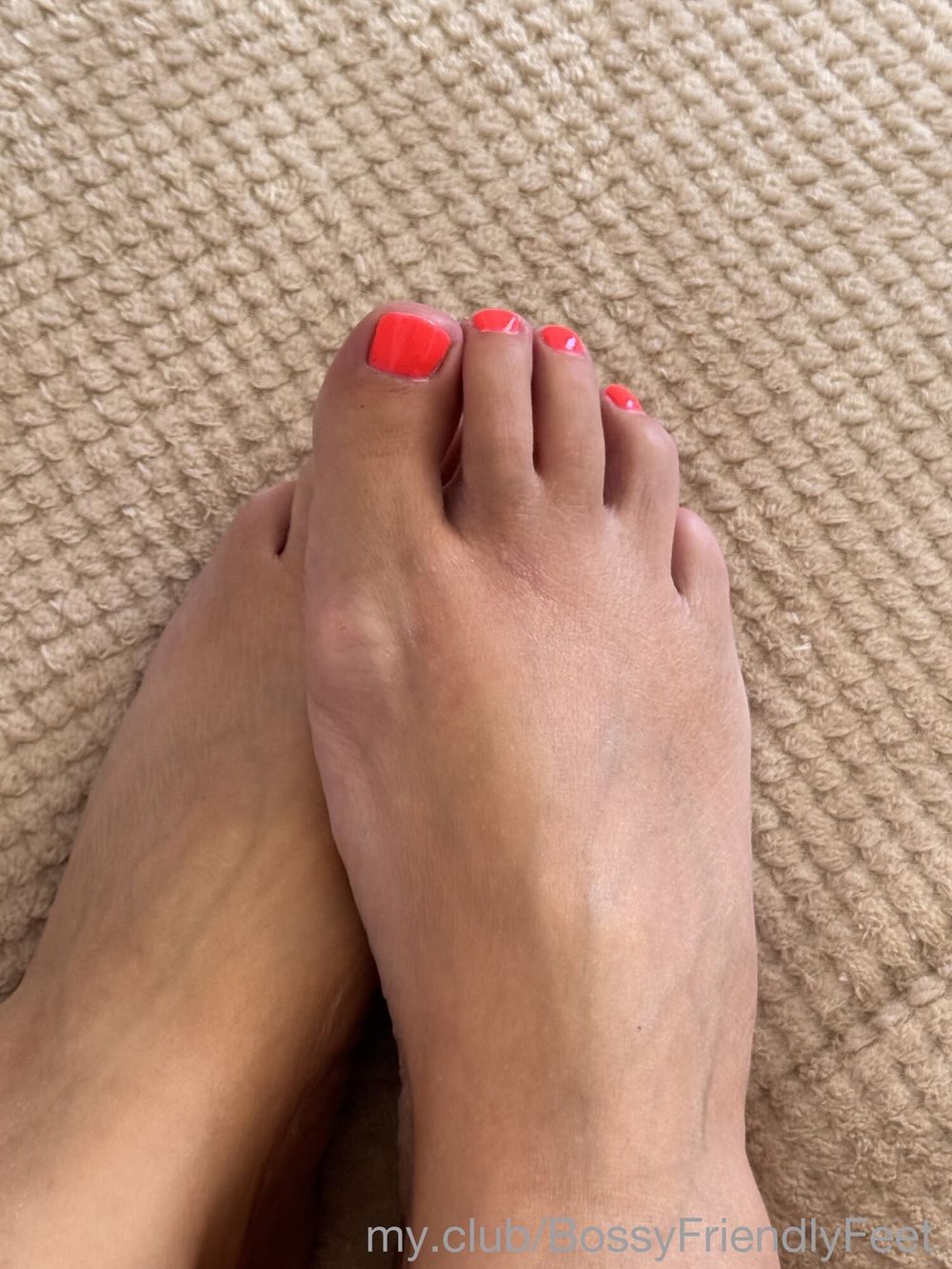 Bossy Friendly Feet Free Photos #8