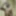 Indian slave. Living to Surve men and full-fill fantasies   