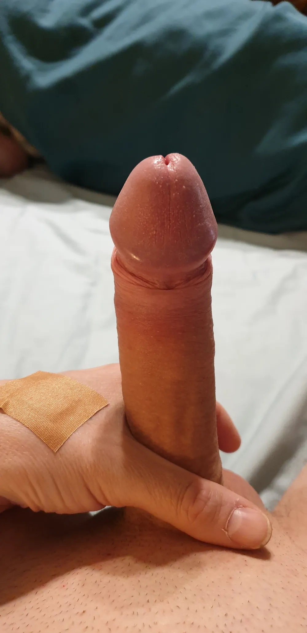 Edging my horny aroused cock pre solo 283 phone photos #26