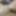 teen cumslut