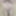 July 14, 2024. Daily duty of the naked slave #11