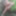 Tygra slut nude in the forest of the Robertsau. #47