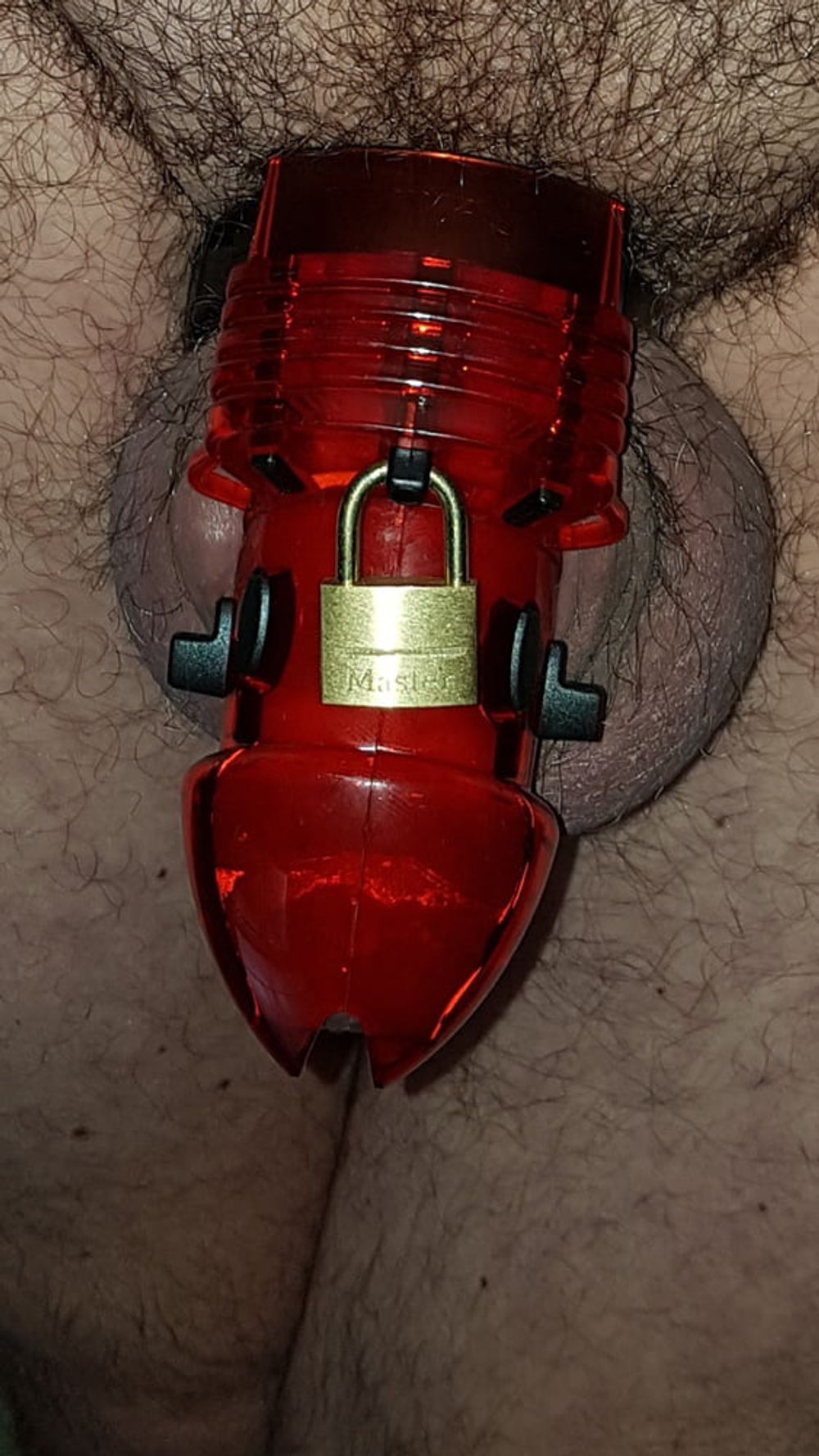 Chastity cage #6