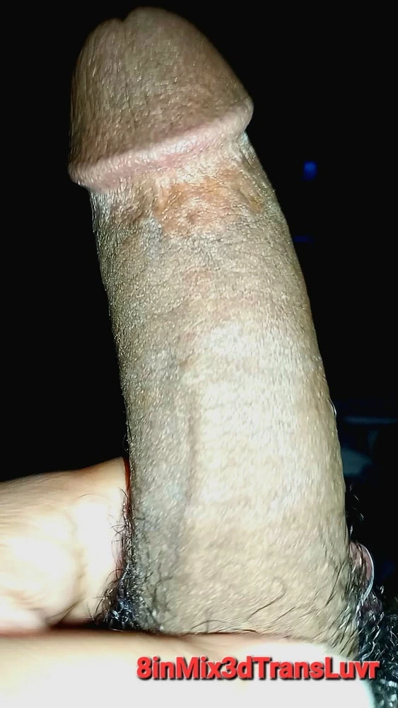 Randomz  #5