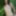 Cute teen Lolly posing nude in the tree #12
