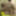 Small GANGBANG with 4 young cocks